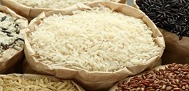 Rijst productie